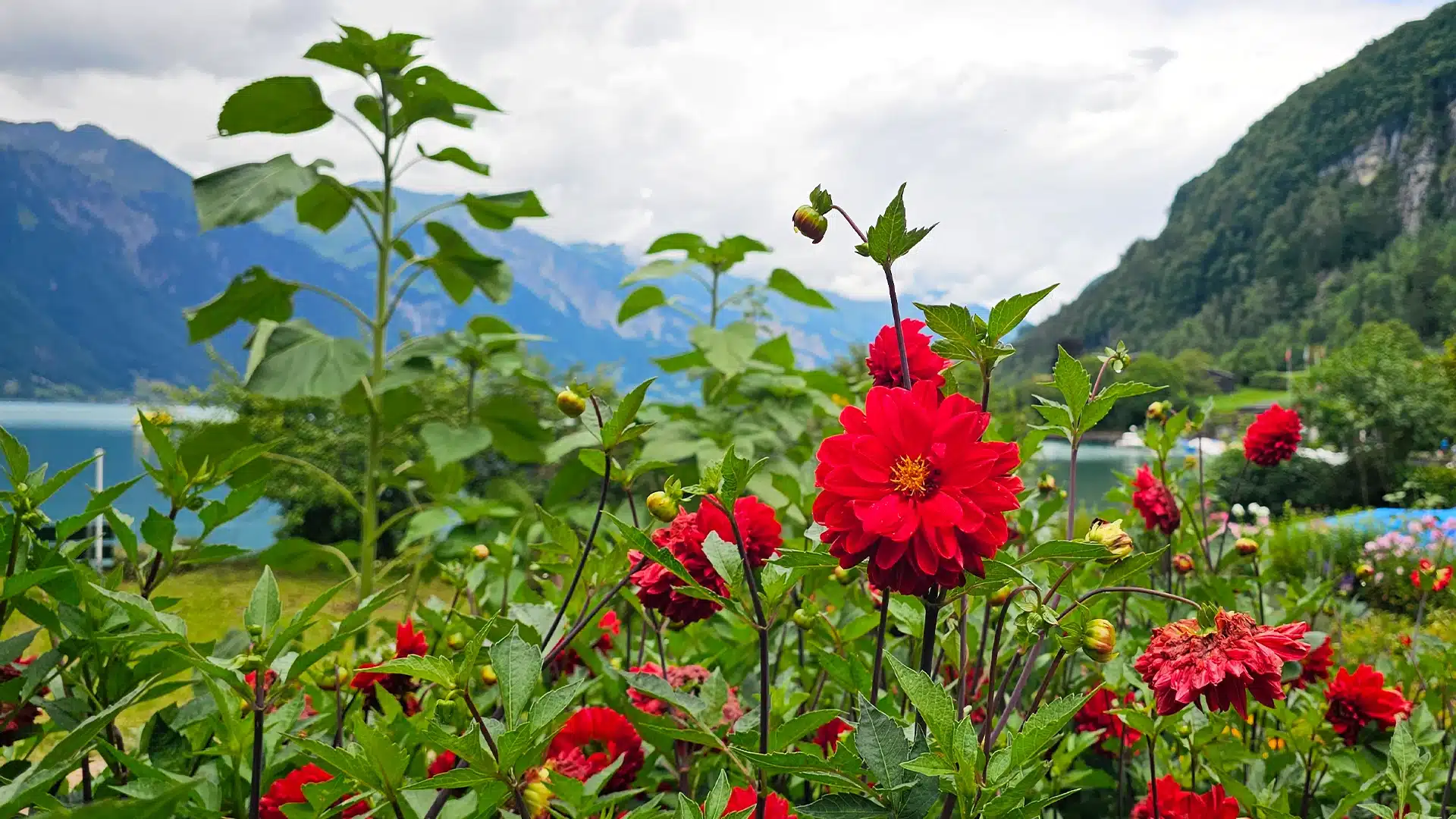 Highlights in der Schweiz
