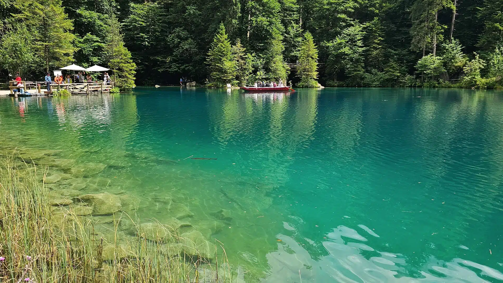 Naturpark Blausee 10 | Sehenswürdigkeiten im Kanton Bern