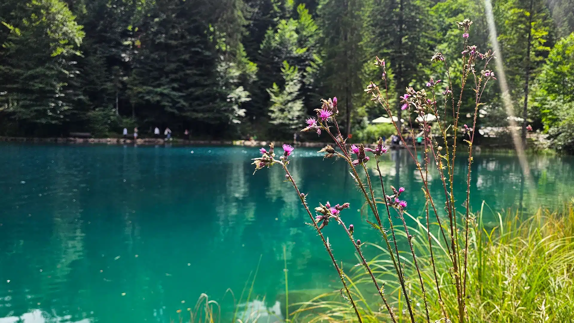 Naturpark Blausee 13 | Sehenswürdigkeiten im Kanton Bern
