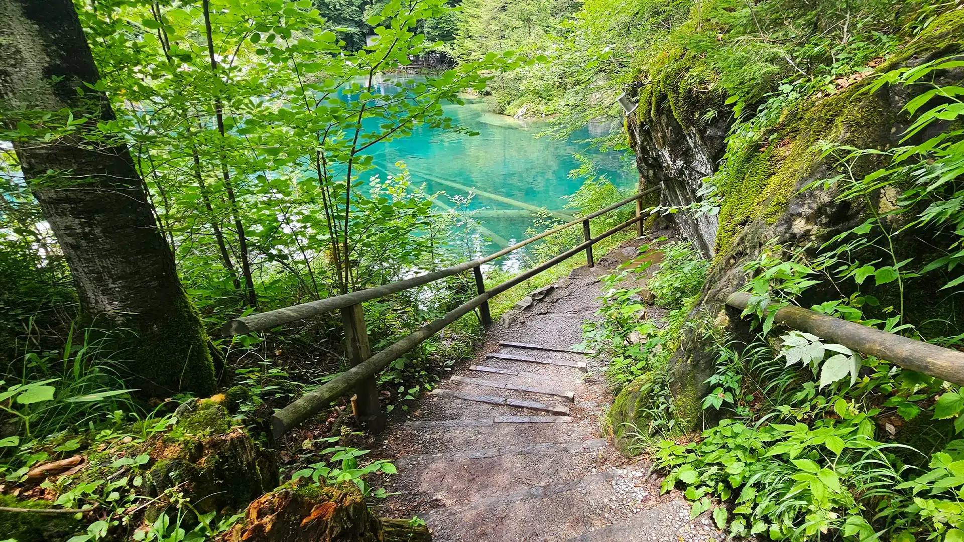 Naturpark Blausee 18 | Sehenswürdigkeiten im Kanton Bern