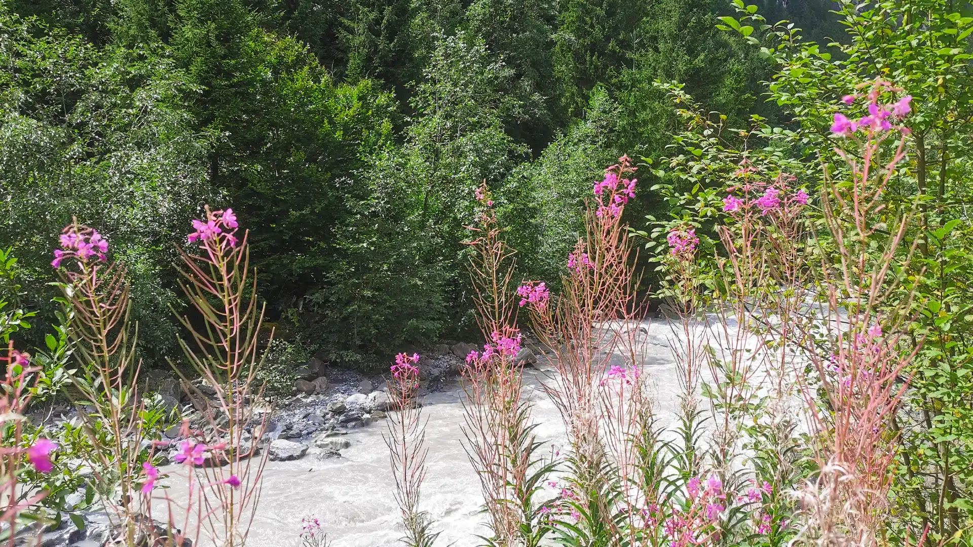 Naturpark Blausee 37 | Sehenswürdigkeiten im Kanton Bern