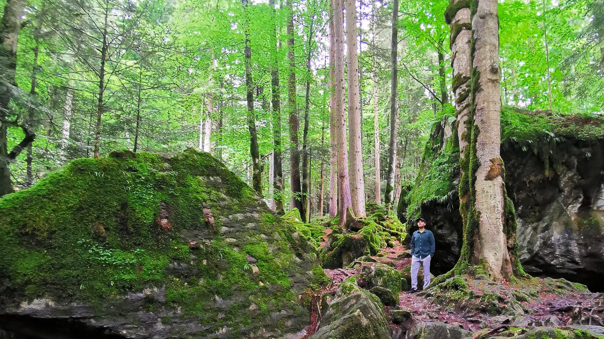 Naturpark Blausee 38 | Sehenswürdigkeiten im Kanton Bern