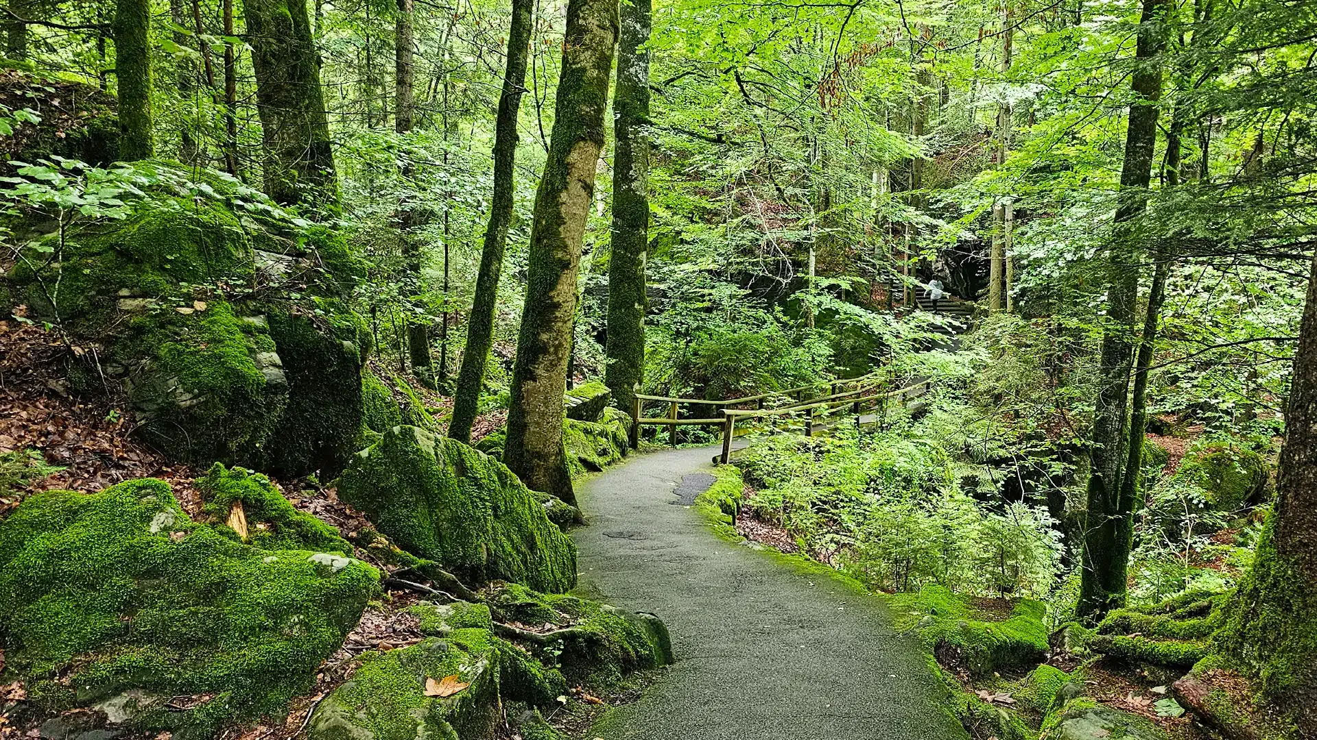 Naturpark Blausee 4 | Sehenswürdigkeiten im Kanton Bern
